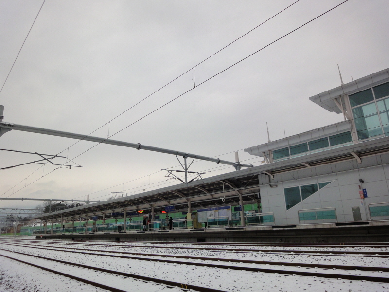 DSC01102.JPG