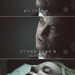 CSI내에서 나온건지 배우랑 인터뷰한건지 모르겠는데 쩌네