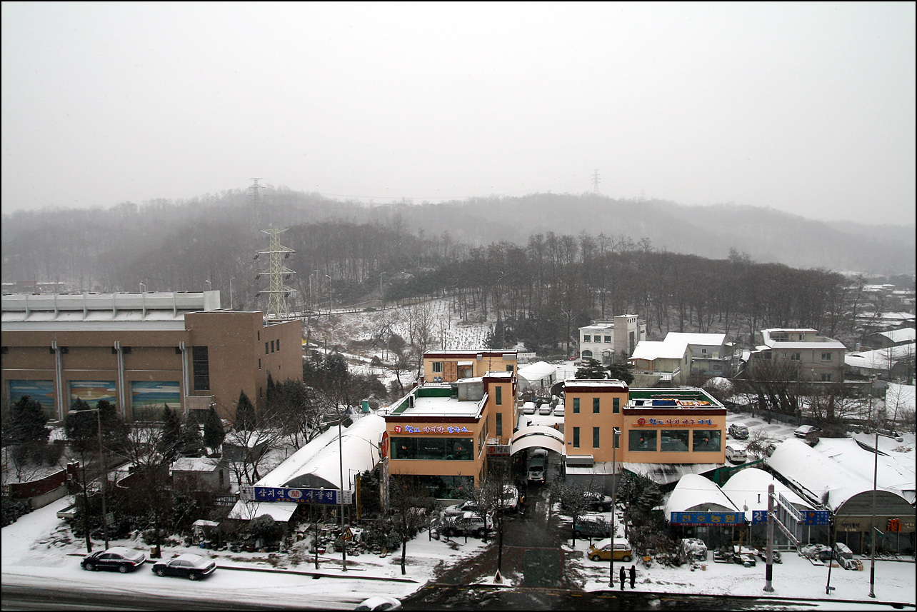 IMG_4827.jpg