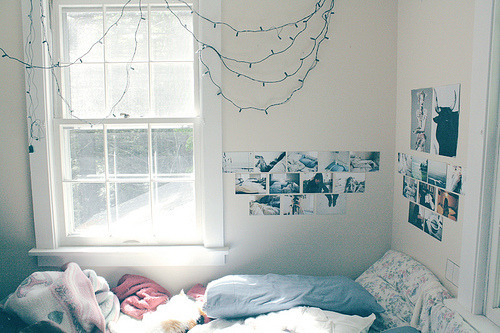 tumblr_l37q91TFH01qa6j27o1_500_large.jpg