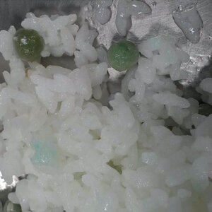 회사밥.jpg