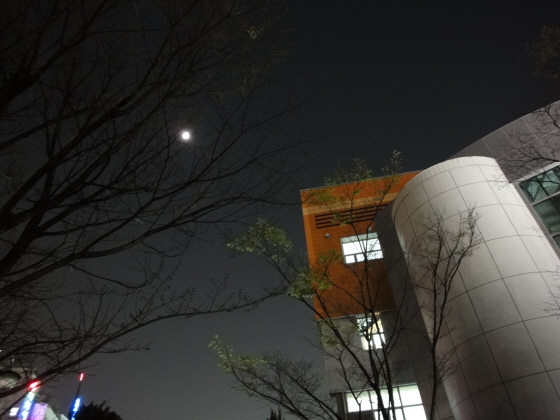[DSC-WX1]저거 달임.jpg