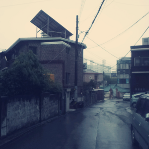 산책하고 집 가고있딱