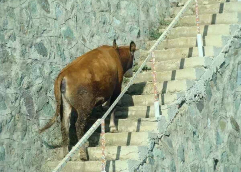 소오름.png