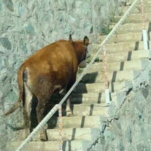 아우 소름끼쳐