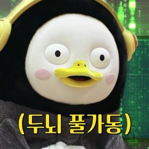 동네 마실용 미벨을 하나 사야겠다.jyp