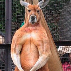 정덕엔 뭐다?