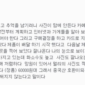 글에는 나이가 나타나는듯