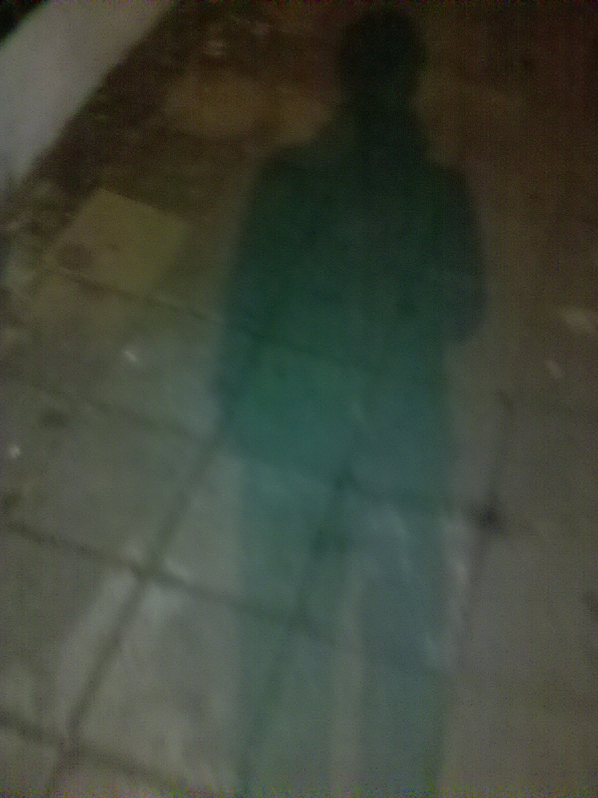 2011-01-20_23-14-22_690.jpg