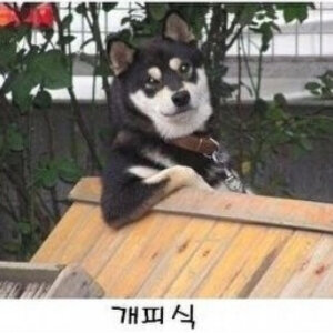 헐 주말에 백섭 됬었음?
