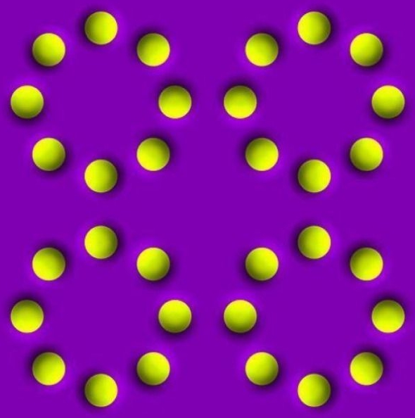 178452306.jpg