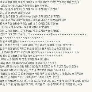 앜마의음식