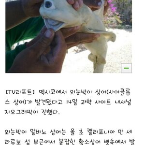 지구가 망해가나.jpg