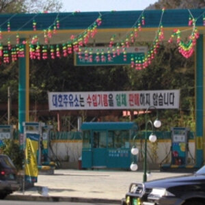 수입기름 안팝니다