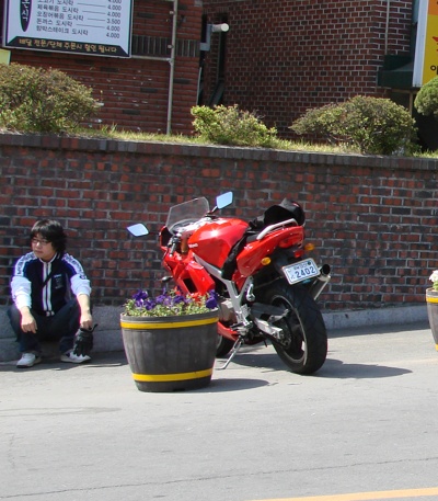 DSC001~2.JPG