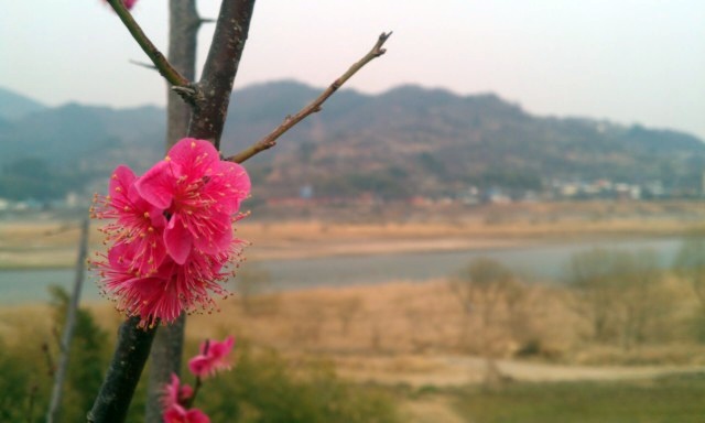 IMAG0344.jpg