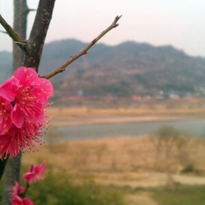 내 핸드폰 카메라 어떰? 죽이지 않음?