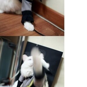 배트맨