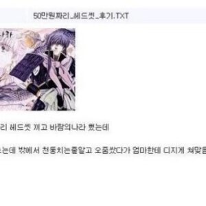 50만원짜리 헤드셋 후기