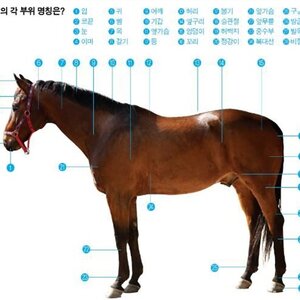 야 뭐 이런거가지고 애들두아니구말이야