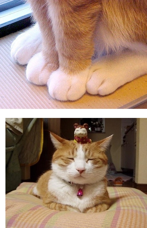 20091001164408_23237272.jpg