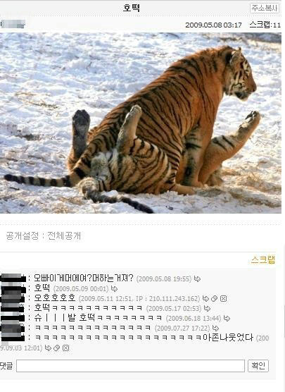 호떡.jpg