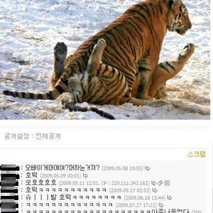 호떡