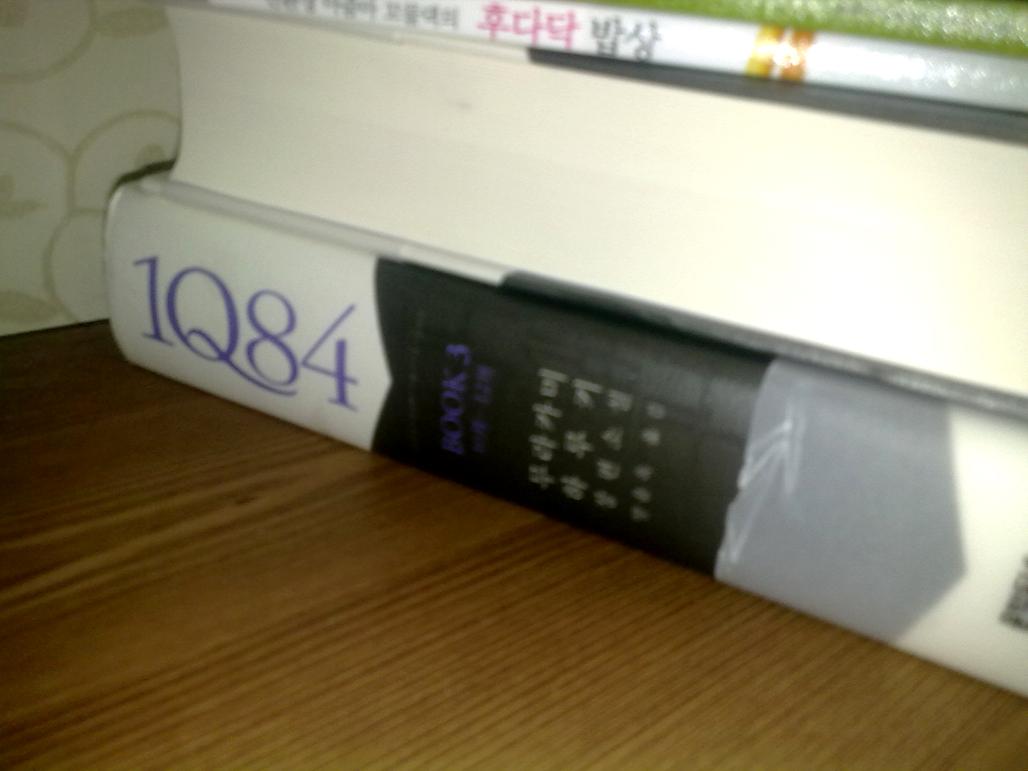 20100816225.jpg