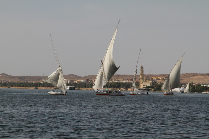 IMG_3488.JPG