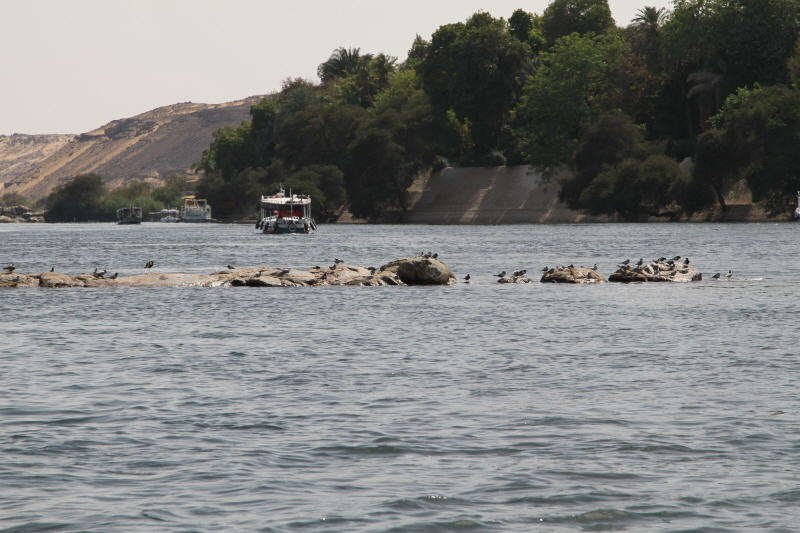 IMG_3499.JPG