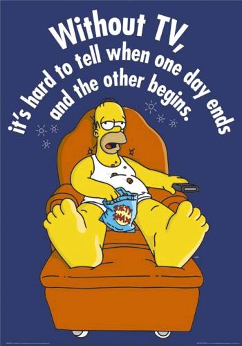 simson_3.JPG