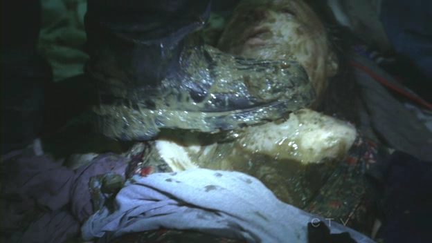 CSI_S11E05_HDTV_XviD-LOL_avi_000193568.jpg