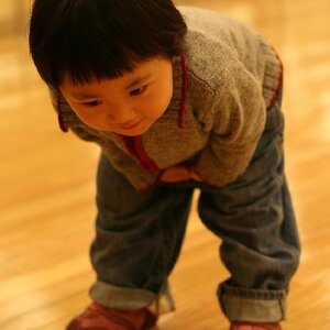 입갤함