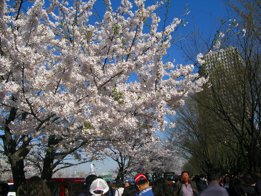 110416 016.jpg