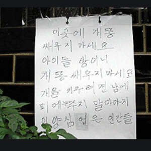 도배 타임이 돌아오는가