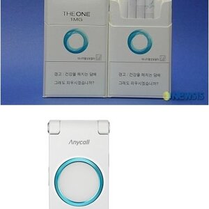 대륙의 모방