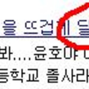 달구 설리 맞당