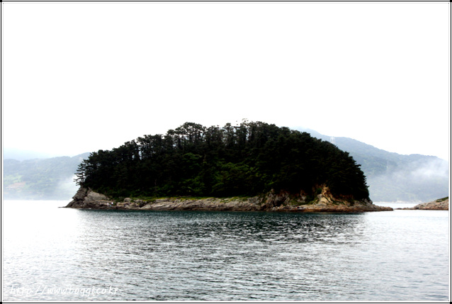 사이도.jpg