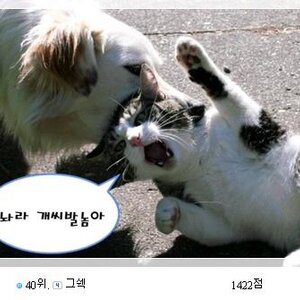 랭커다