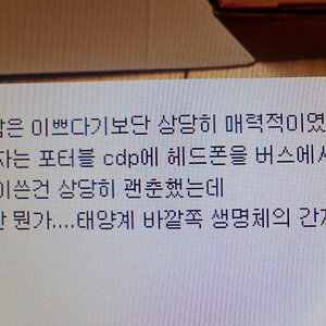 귀덕?