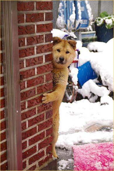 todayhumor_co_kr_20110217_113834.jpg