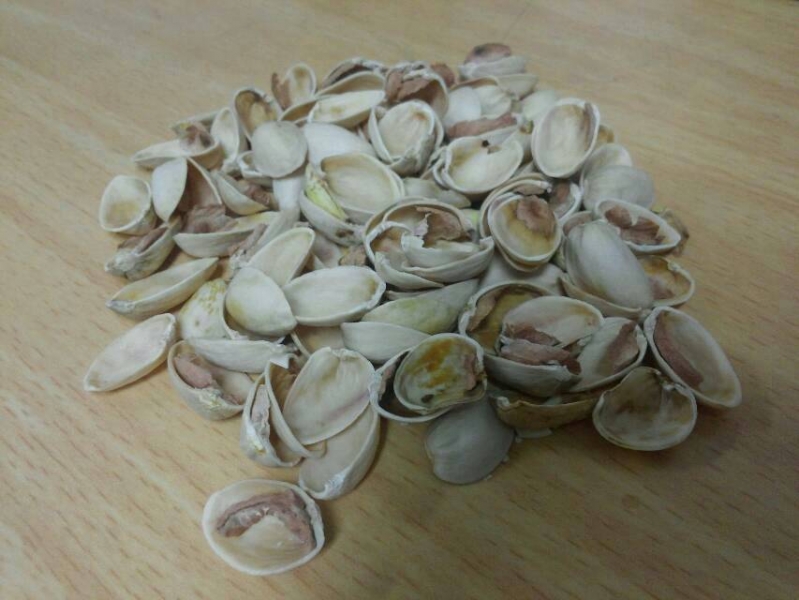 img20131101_221244.jpg