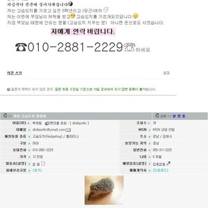 웃덕 생겼네 미친