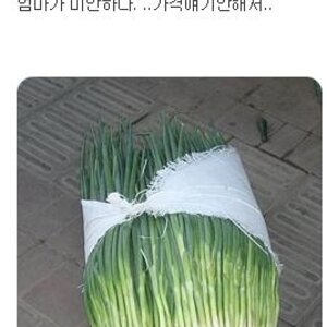 히히히히히 저나왔다~