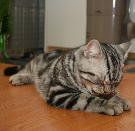 20050203_020.jpg
