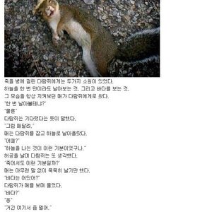 오줌보가 터질기세
