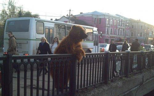 russiabear29.jpg