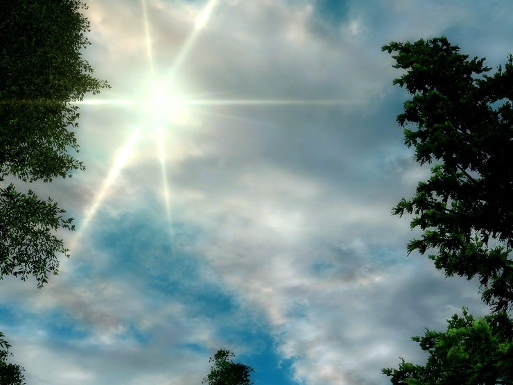 screenshot1_0a012.jpg