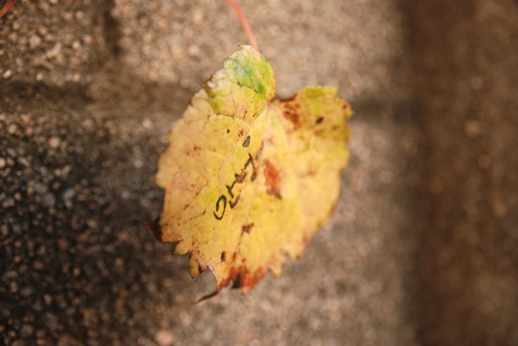사진 008.jpg