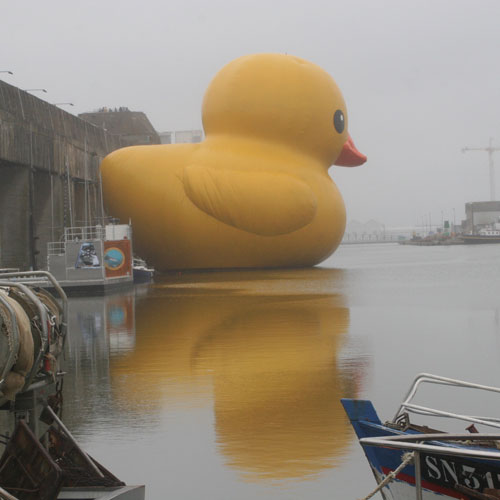 오오리.jpg